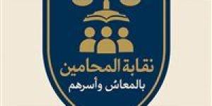 نقابة المحامين بالمعاش| أزمة جديدة في مواجهة مجلس علام.. هل يجوز إنشاء نقابة مستقلة لهم؟