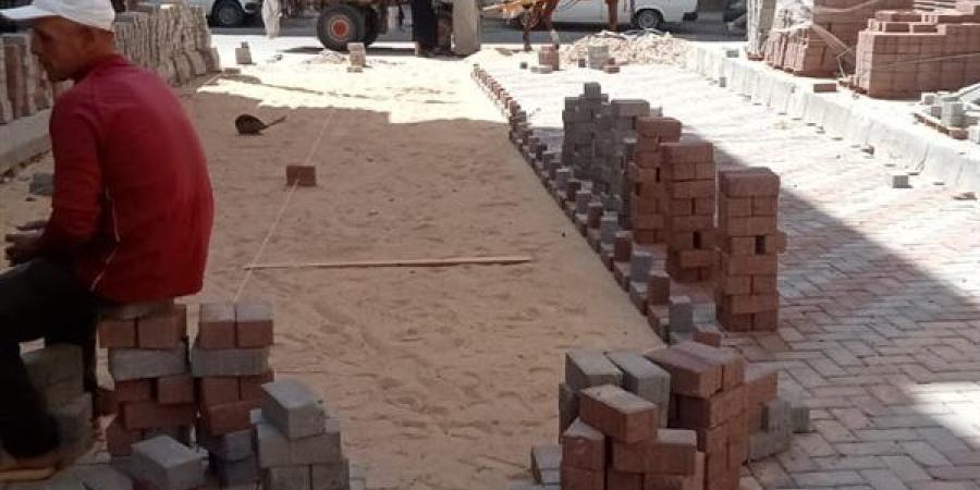 رئيس مدينة دمنهور يتابع أعمال استكمال مشروعات البنية التحتية