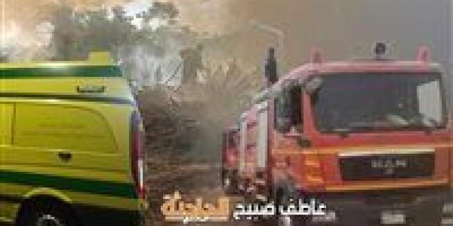 الحماية المدنية تخمد حريق مخزن أخشاب بقرية العمار بطوخ