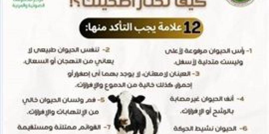 الزراعة: 12 علامة لاختيار الأضاحي و8 للحوم السليمة