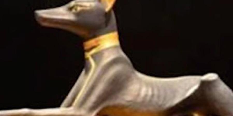 حيوانات في حضن الحضارة.. كيف تعامل المصريون القدماء مع الكائنات من القطط حتى التماسيح؟| شاهد