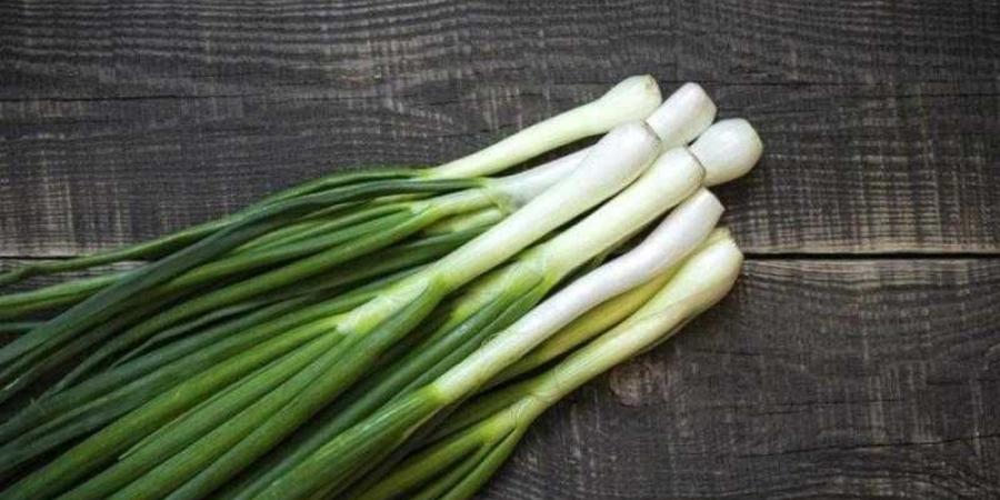 يعالج الإمساك ويحافظ على شباب البشرة.. فوائد البصل الأخضر