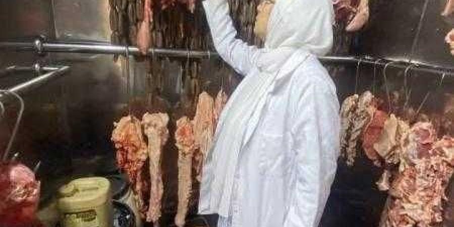 الخدمات البيطرية تعلن تطوير 8 مجازر في 5 محافظات ومواصلة حملات التفتيش على أسواق اللحوم