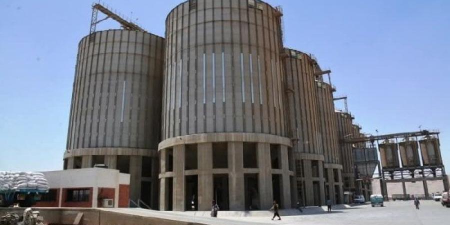 توريد 165 ألف طن قمح خلال شهر بسوهاج وصرف 2.5 مليار جنيه مستحقات للمزارعين
