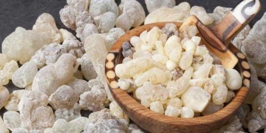 لن تصدق فوائد لبان الدكر في علاج هذا المرض