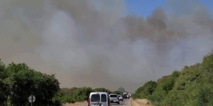 لليوم الخامس .. فرق الإطفاء تواصل مكافحة حريق غابة هوارة بطنجة