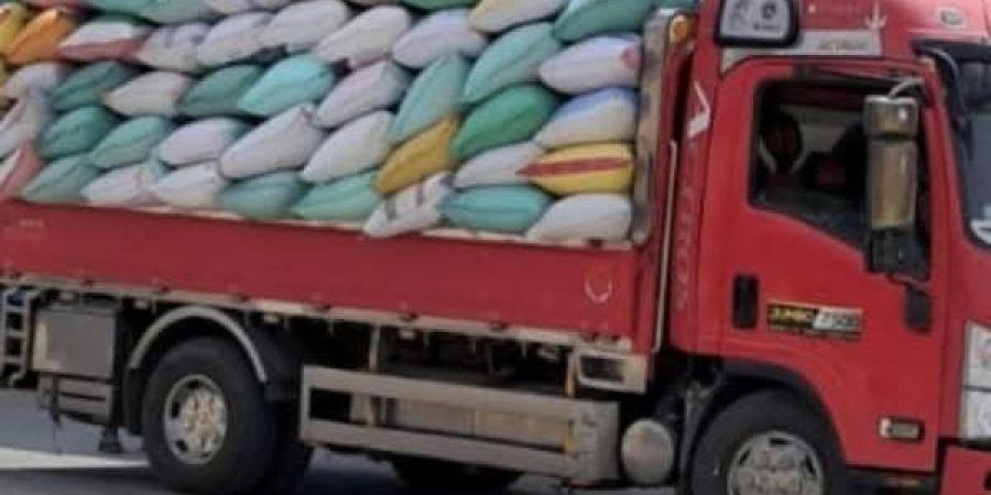 الشرقية تتصدر في توريد محصول القمح بـ 582 ألف طن