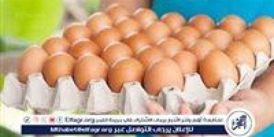 أسعار طبق البيض اليوم الجمعة 30-5-2025 في قنا