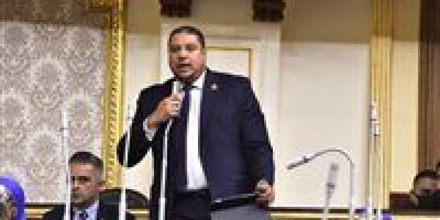 "نجاحات متواصلة من البرلمان إلى قطاع الطاقة".. تكليف محمد إسماعيل فارس التنسيقية نائبًا لرئيس شركة غاز مصر