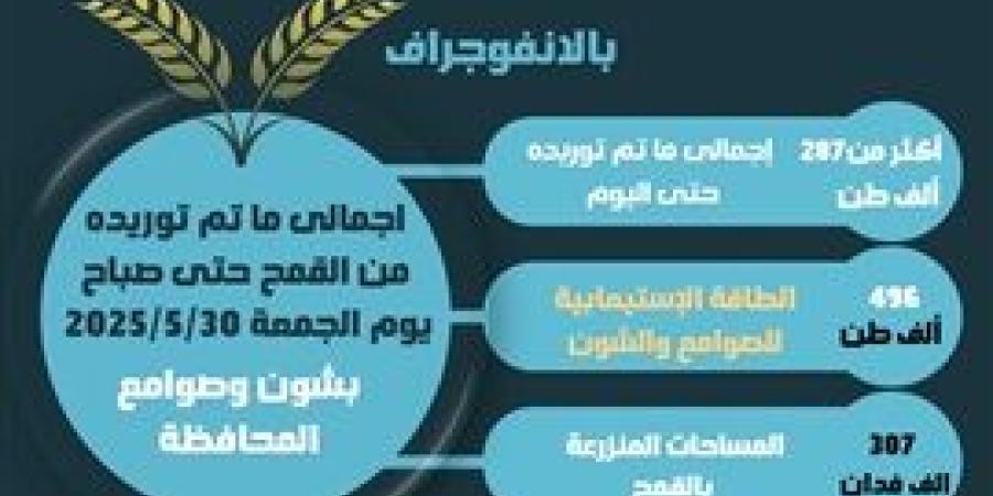 بالإنفوجراف.. توريد أكثر من 287 ألف طن قمح لشون وصوامع البحيرة حتى اليوم