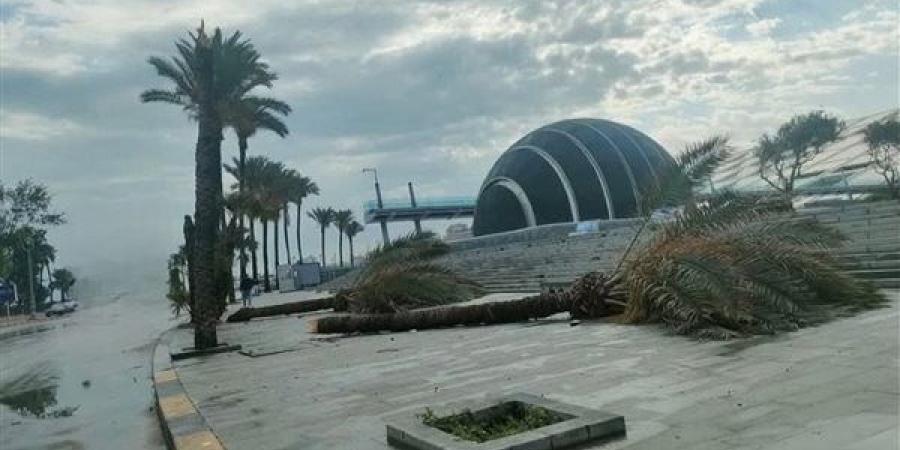 تضرر 10 عقارات وسقوط 8 إعلانات دعائية.. الإسكندرية تكشف حجم خسائر العاصفة