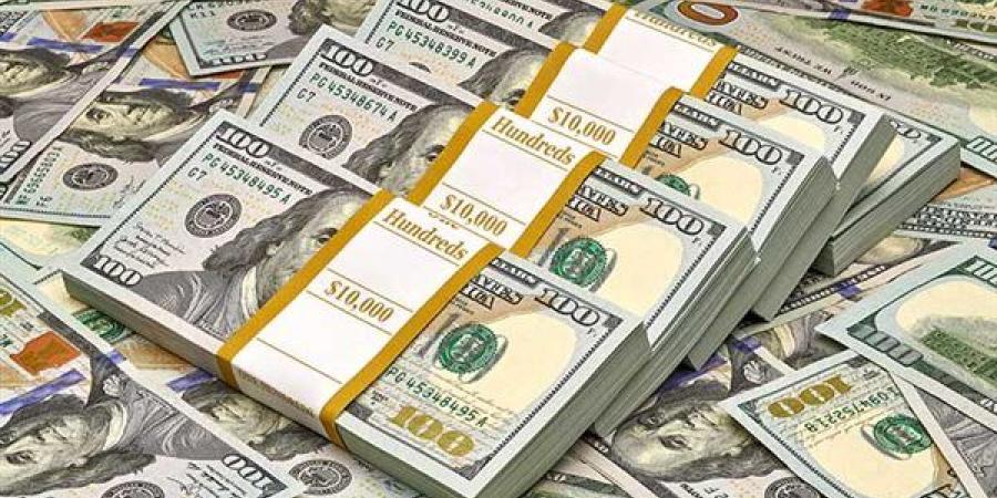 سعر الدولار في البنك المركزي المصري اليوم السبت 31-5-2025