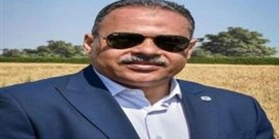 إرتفاع الكميات الموردة من القمح المحلي للمواقع التخزينية بمحافظة الشرقية