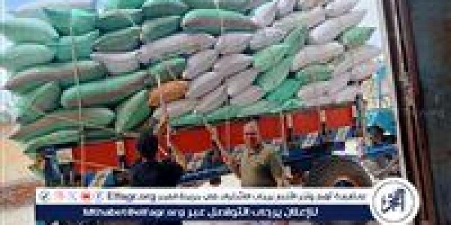 توريد أكثر من 229 ألف طن قمح بـ14 موقعًا في الفيوم خلال موسم 2025