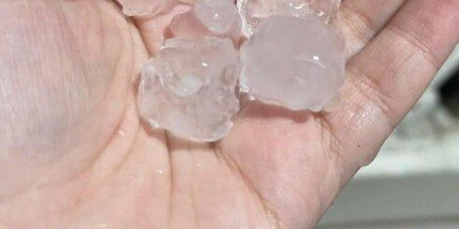 عاجل | محافظ الإسكندرية يرفع درجة الاستعداد لمواجهة موجة الأمطار المفاجئة.. فيديو