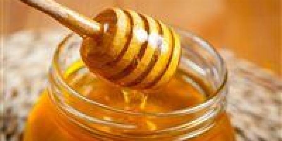 هل يمكن للمستهلك معرفة الفارق بين العسل السليم والمغشوش؟ خبير يوضح