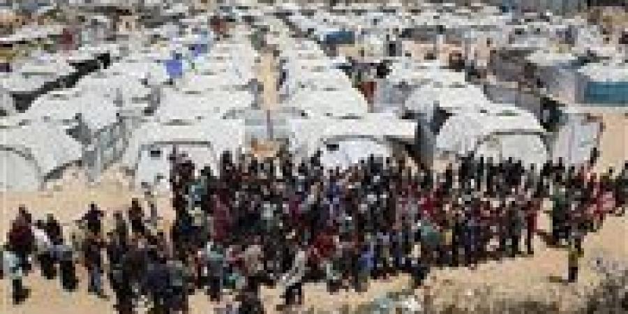 عاجل| "حماس": سلمنا اليوم ردنا على مقترح المبعوث الأمريكى بشأن حرب غزة