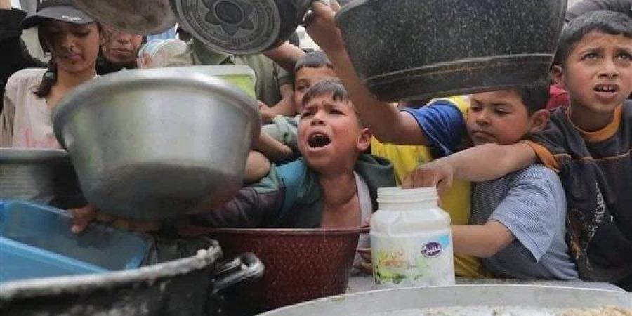 بلدية خزاعة: حجم الدمار يفوق كل التقديرات.. وما ...