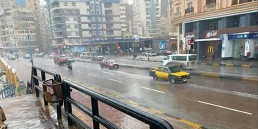 مراسل "إكسترا نيوز": إصابات طفيفة وتلفيات مادية بسبب طقس الإسكندرية.. ولا توجد وفيات