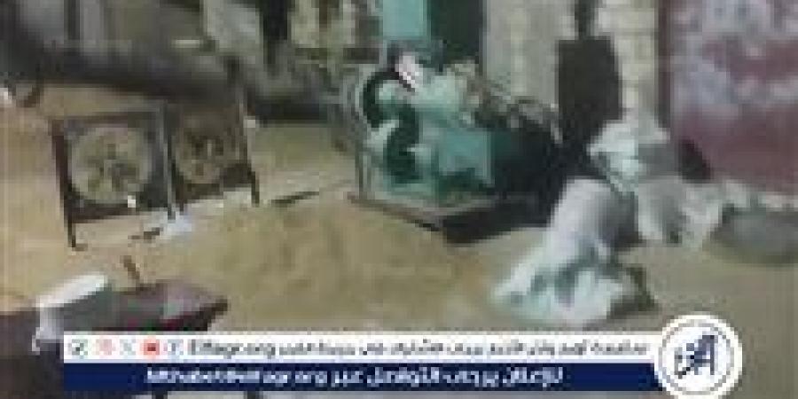 ضبط مصنع سري يحوّل القمح إلى فلفل وكمون وتوابل مغشوشة ببني سويف