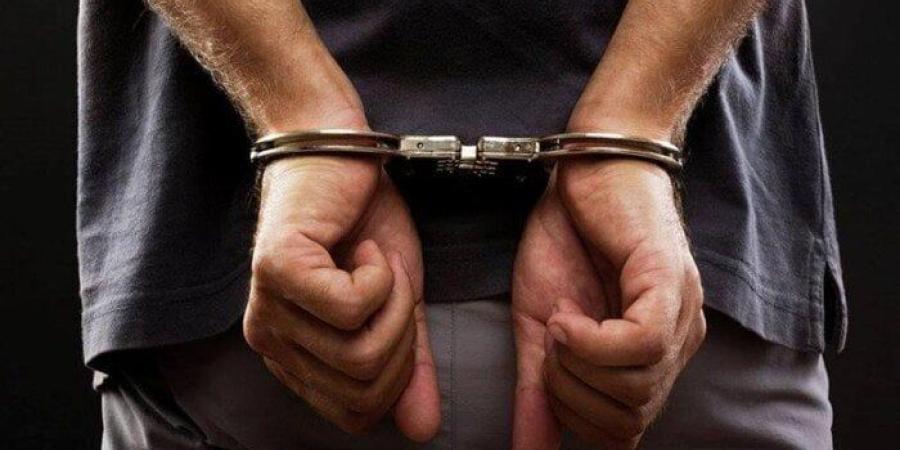 ضبط صاحب مقهى لإتجاره في النعام والكلاب والنسانيس المحلة