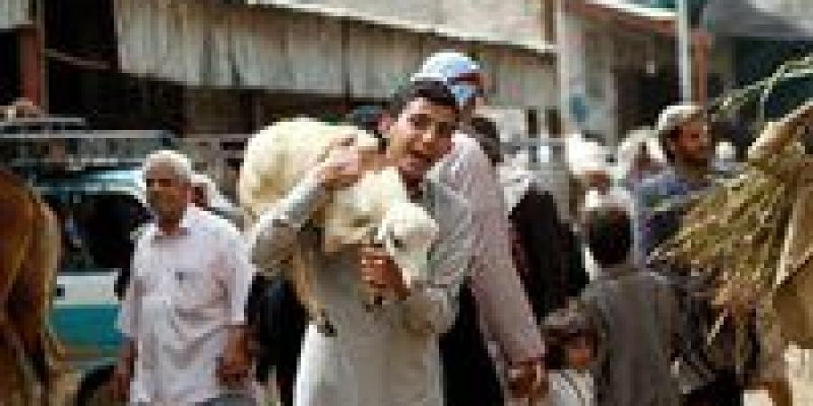 استعدادات مكثفة لعيد الأضحى 2025.. شوادر ولحوم بأسعار مخفضة وجهود حكومية لتأمين الأضاحي