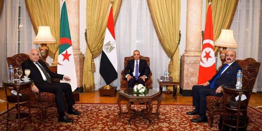 نتائج اجتماع وزراء خارجية مصر وتونس والجزائر بشأن ليبيا