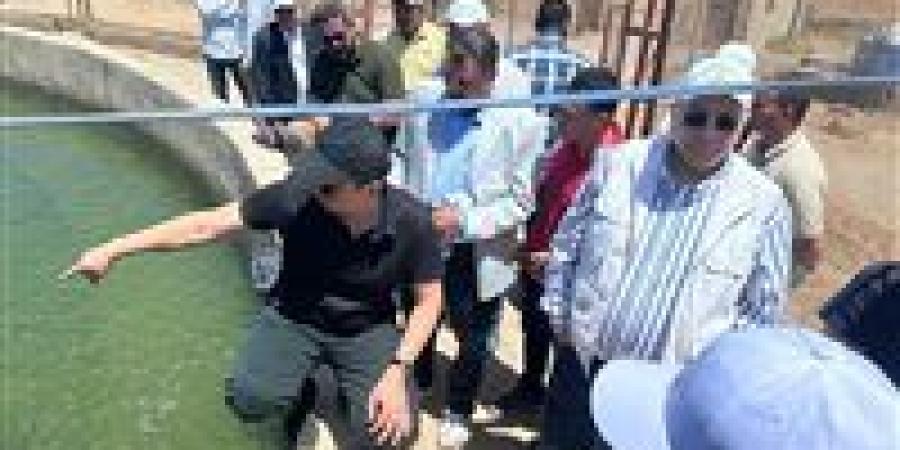 "الزراعة" تكشف تفاصيل زيارة الوفد الحكومي الأوزبكي لمركز بحوث الصحراء وجهوده في سيناء