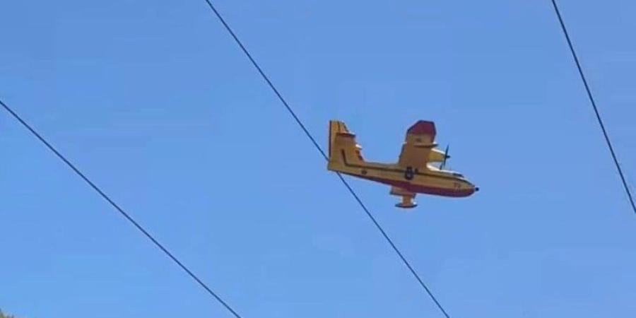 فرق الإطفاء تسيطر على حريق غابة هوارة بعد أسبوع من التدخل المكثف