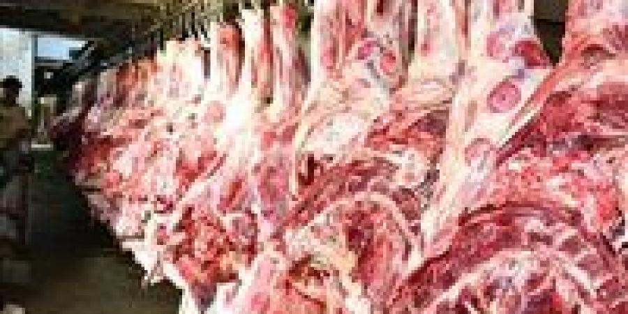 الزراعة: التحفظ على كمية تقدر بـ 115 كيلوجرامًا من اللحوم الفاسدة