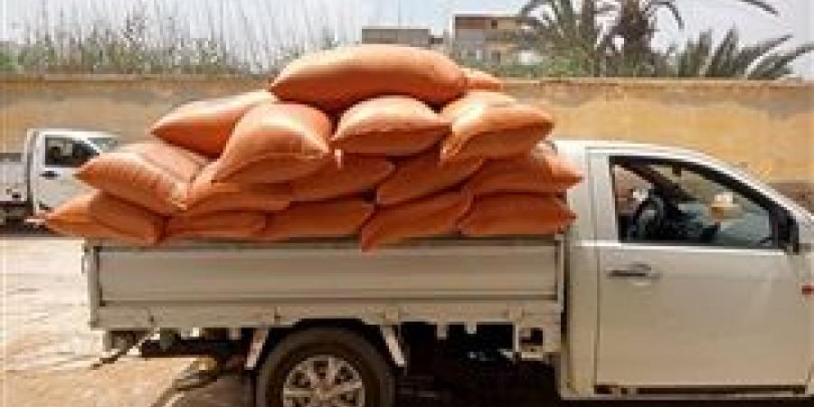 البحيرة تواصل تنفيذ خطة الدولة في توريد القمح المحلي وتقترب من 300 ألف طن حتى الآن