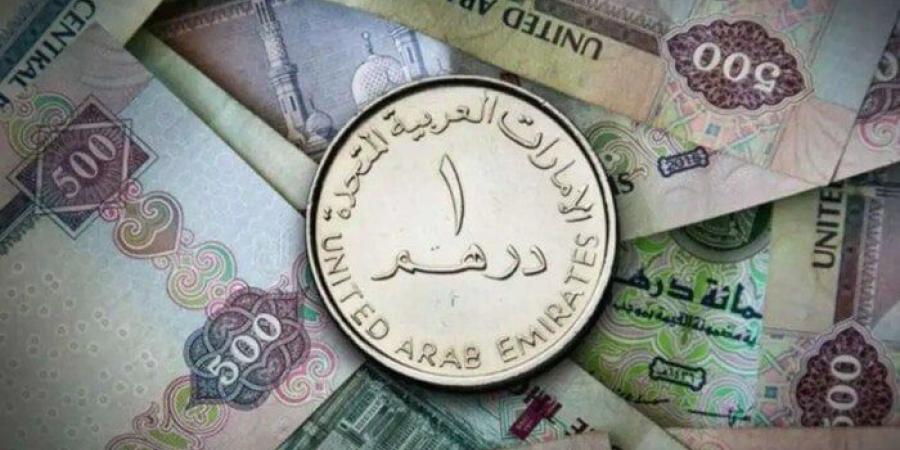 سعر الدرهم الإماراتي في مصر اليوم.. الاثنين 2 يونيو 2025