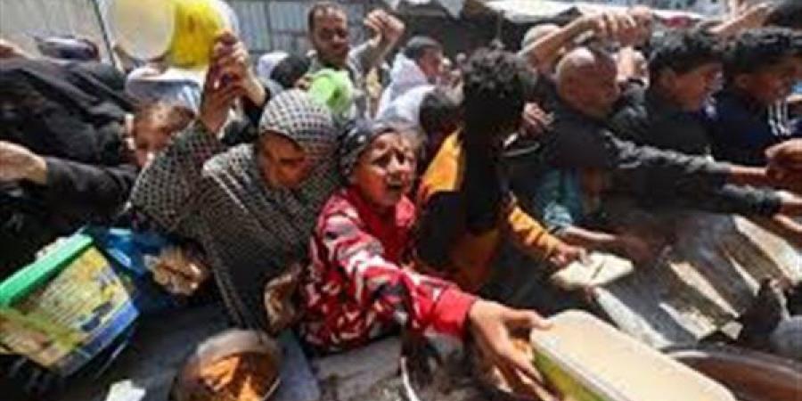 الأمم المتحدة: المدنيون لا يجب أن يخاطروا بحياتهم للحصول على الغذاء