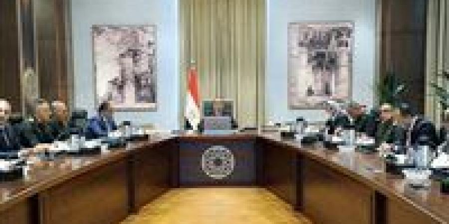 رئيس الوزراء يتابع الموقف التنفيذي لمشروعات التغذية الكهربائية بالدلتا الجديدة