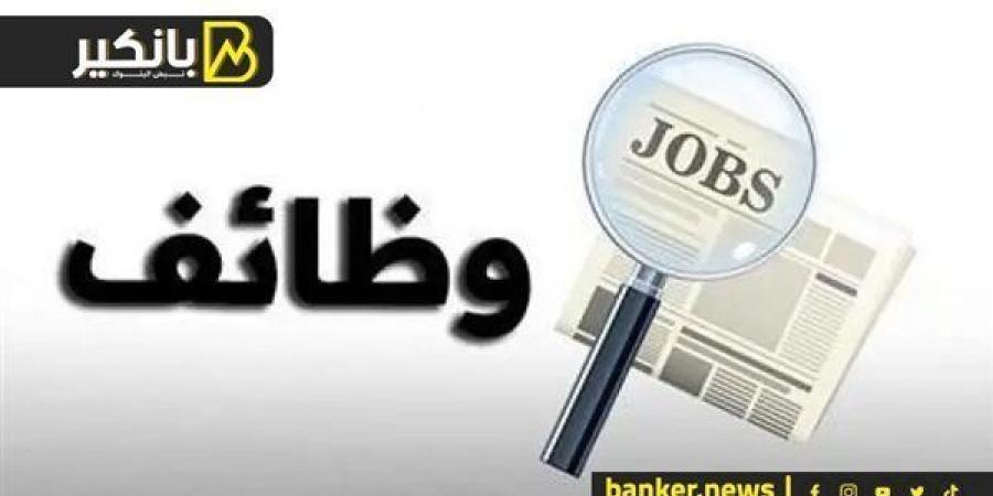 فرص عمل جديدة في الأردن للمصريين.. اعرف التخصصات والشروط
