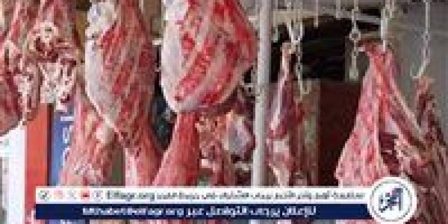 أسعار اللحوم الجملي والضاني اليوم الاربعاء 4-6-2025 في الأسواق ومحال الجزارة بقنا