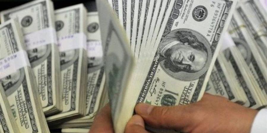 هل يصل سعر الدولار لـ 60 جنيها بنهاية العام؟ رئيس الوزراء يوضح