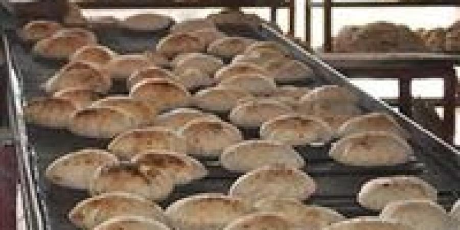 وزير التموين: نعد ونوفر نحو 280 مليون رغيف خبز للمواطنين يوميا.. ودي مسؤولية كبيرة جدا