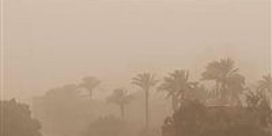 رياح ترابية| الأرصاد الجوية تكشف مفاجأة عن طقس الساعات المقبلة