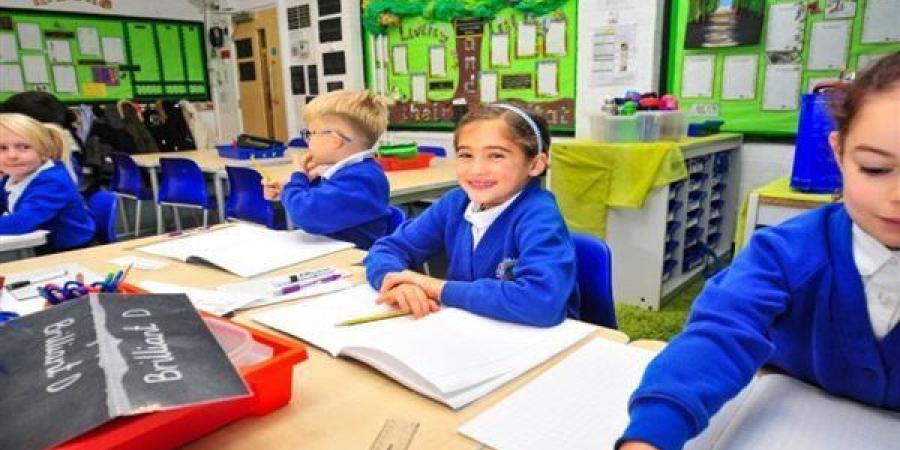 رابط نتيجة الصف الرابع الابتدائي الترم الثاني 2025 لمحافظة الجيزة