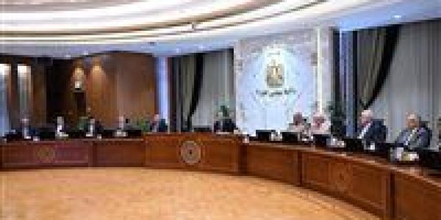 الحكومة تتابع إجراءات إطلاق بث تجريبي للمنصة الإلكترونية لتراخيص الاستثمار