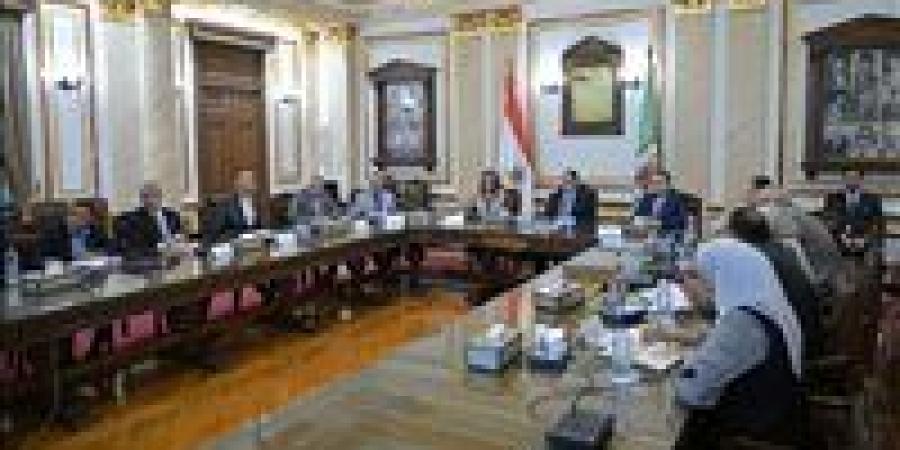 رئيس جامعة القاهرة: الحفاظ على الهوية البصرية للجامعة يعكس عراقة تاريخها