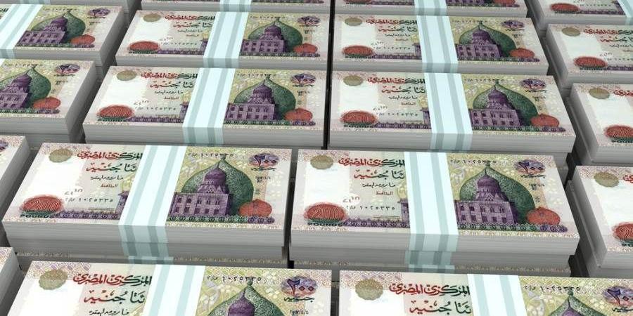 الأفراد يستحوذون على 21.8% من قروض البنوك المدرجة بالبورصة بالربع الأول 2025