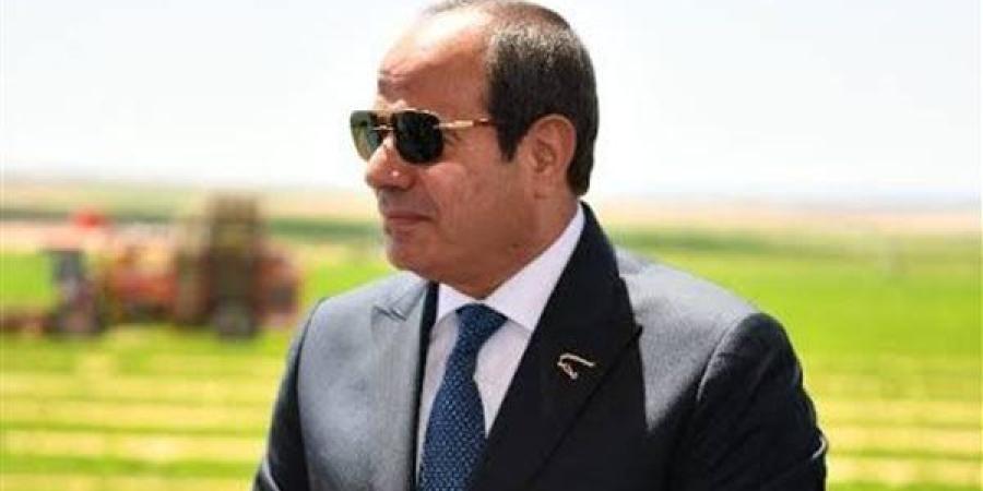 وديان تهنئ الرئيس السيسي بعيد الأضحى وتؤكد التزامها بتقديم أول حصاد خلال 2025