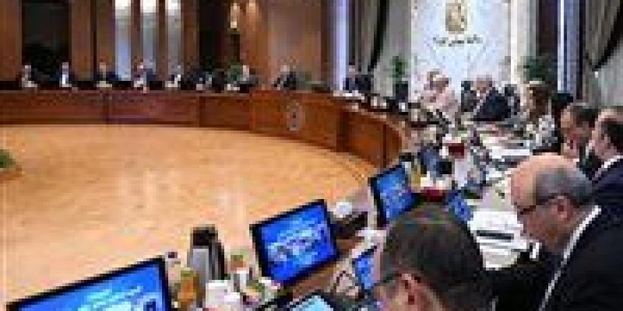 مدبولي يوجه بالشراكة مع القطاع الخاص في إدارة وتشغيل المصانع المطورة