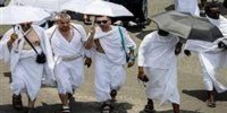 بيان رسمي بشأن حالة الأمراض والأوبئة بين الحجاج