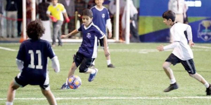 تجهيز 4 ملاعب نجيل صناعي بكل إدارة تعليمية لتنفيذ دوري المدارس