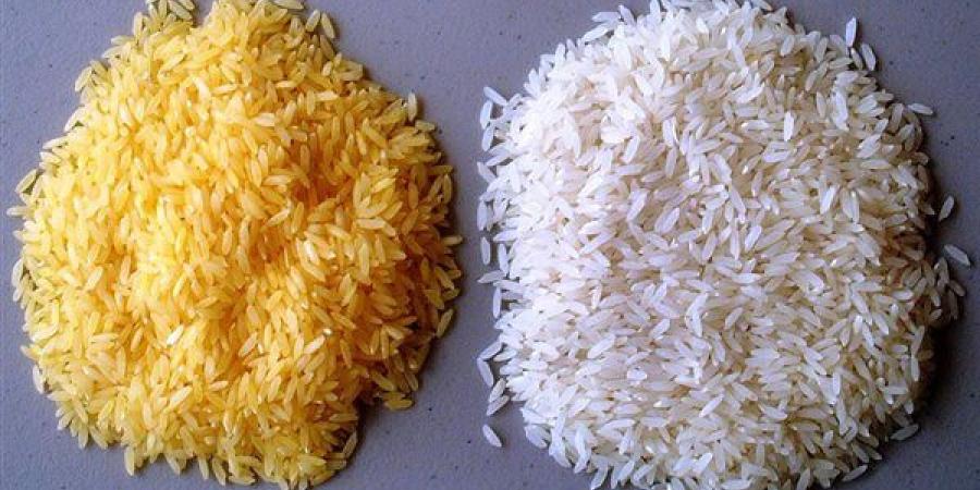 سعر الأرز الشعير اليوم الجمعة 6 يونيو 2025