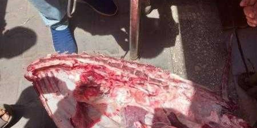 محافظ أسيوط: ضبط لحوم غير صالحة وتحرير 480 مخالفة تموينية