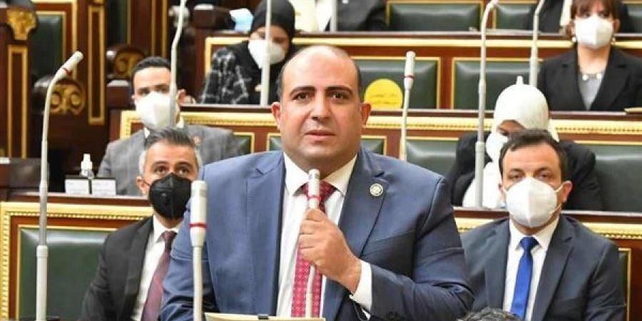 أفريقية النواب: مصر حريصة على تحقيق التهدئة بمنطقة البحيرات العظمى